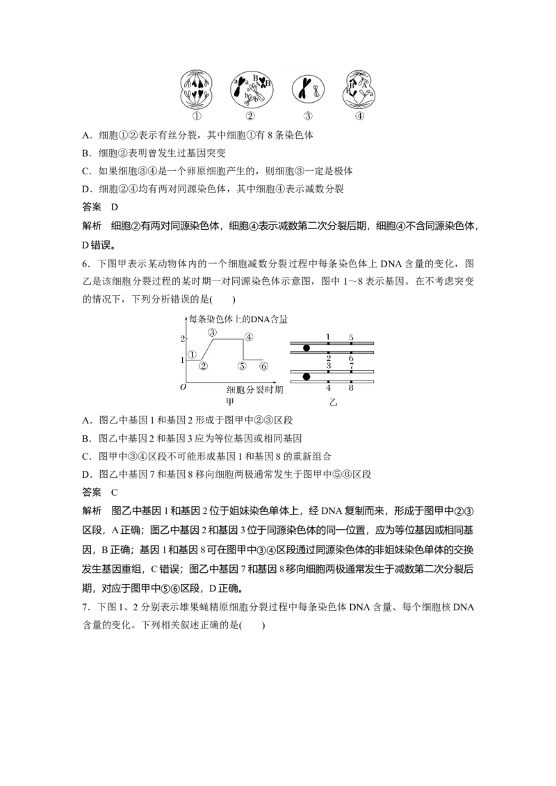 2023年高考生物一轮复习（全国版）第4单元第4课时　减数分裂与有丝分裂的比较及观察蝗虫精母细胞减数分裂装片_通用版（老高考）复习资料_2023年复习资料_一轮复习