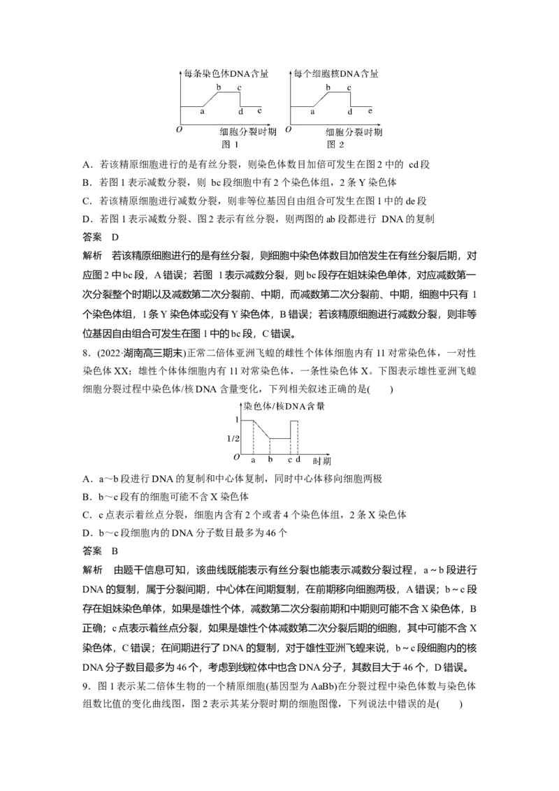 2023年高考生物一轮复习（全国版）第4单元第4课时　减数分裂与有丝分裂的比较及观察蝗虫精母细胞减数分裂装片_通用版（老高考）复习资料_2023年复习资料_一轮复习