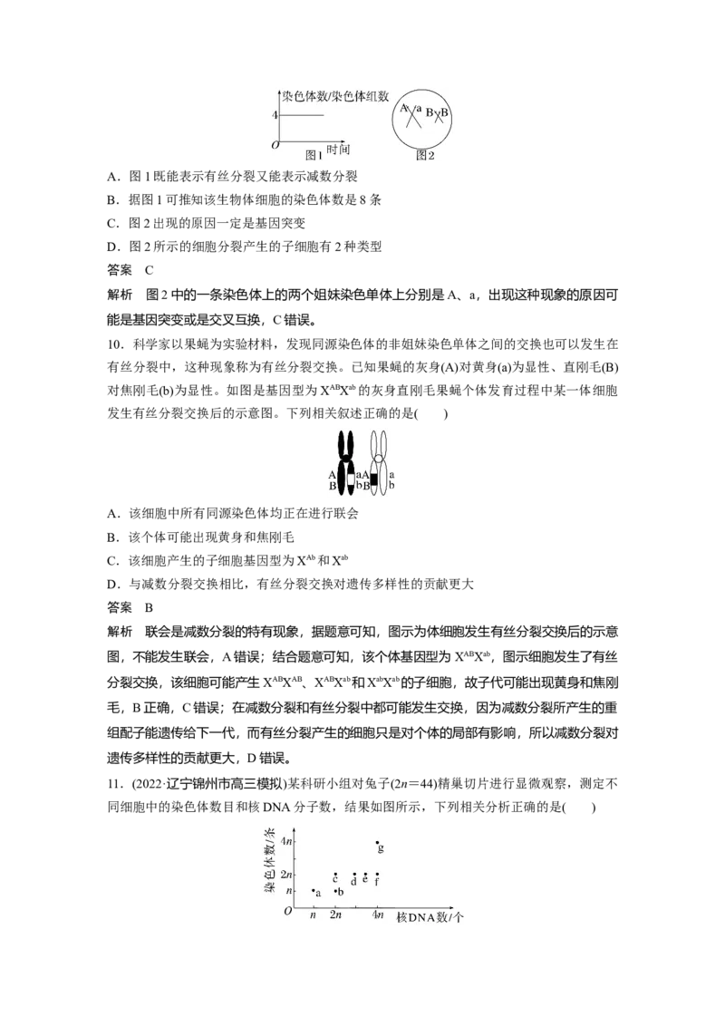 2023年高考生物一轮复习（全国版）第4单元第4课时　减数分裂与有丝分裂的比较及观察蝗虫精母细胞减数分裂装片_通用版（老高考）复习资料_2023年复习资料_一轮复习