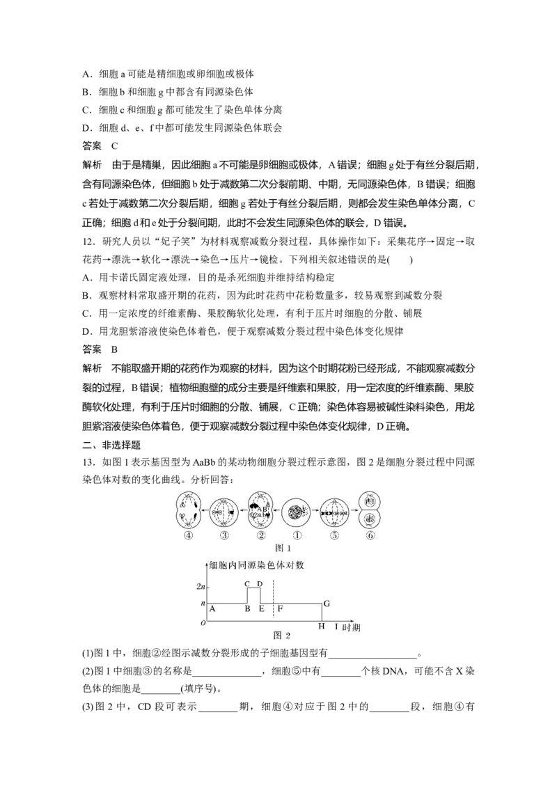 2023年高考生物一轮复习（全国版）第4单元第4课时　减数分裂与有丝分裂的比较及观察蝗虫精母细胞减数分裂装片_通用版（老高考）复习资料_2023年复习资料_一轮复习