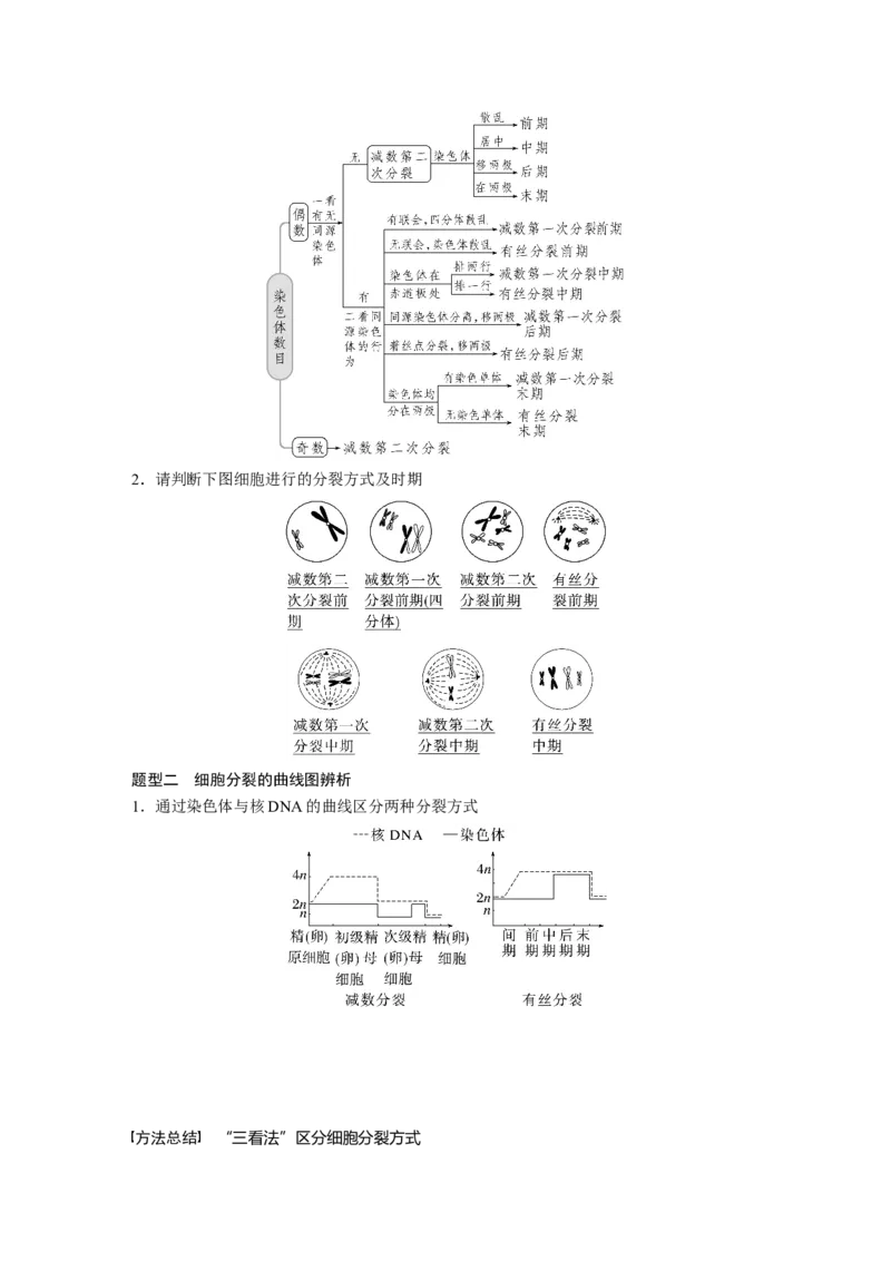 2023年高考生物一轮复习（全国版）第4单元第4课时　减数分裂与有丝分裂的比较及观察蝗虫精母细胞减数分裂装片_通用版（老高考）复习资料_2023年复习资料_一轮复习