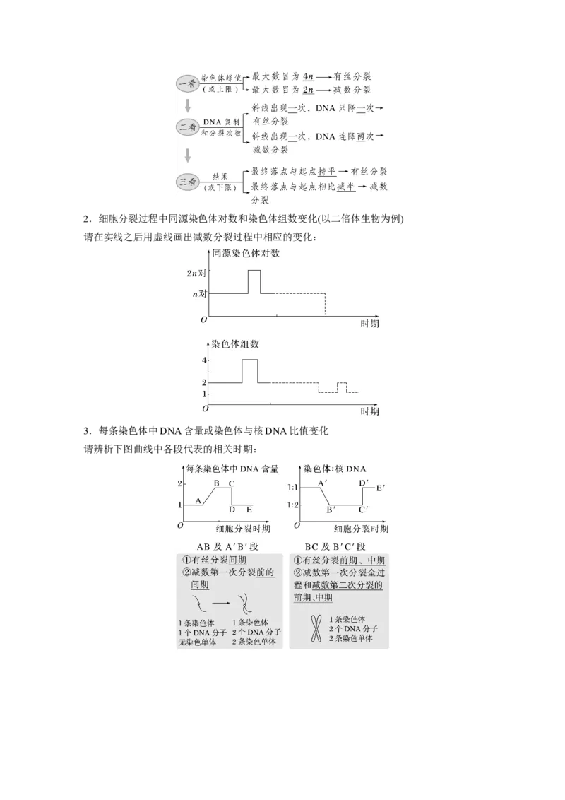 2023年高考生物一轮复习（全国版）第4单元第4课时　减数分裂与有丝分裂的比较及观察蝗虫精母细胞减数分裂装片_通用版（老高考）复习资料_2023年复习资料_一轮复习
