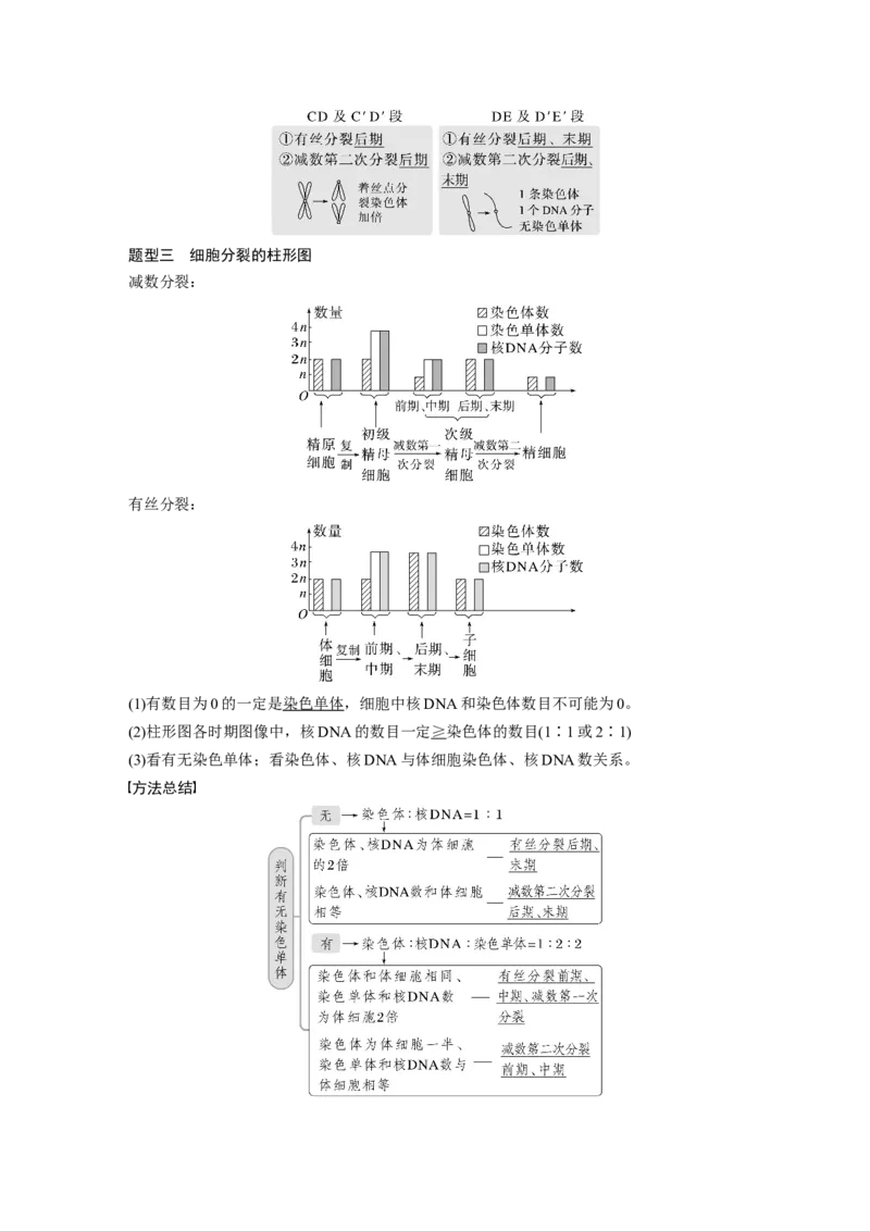 2023年高考生物一轮复习（全国版）第4单元第4课时　减数分裂与有丝分裂的比较及观察蝗虫精母细胞减数分裂装片_通用版（老高考）复习资料_2023年复习资料_一轮复习