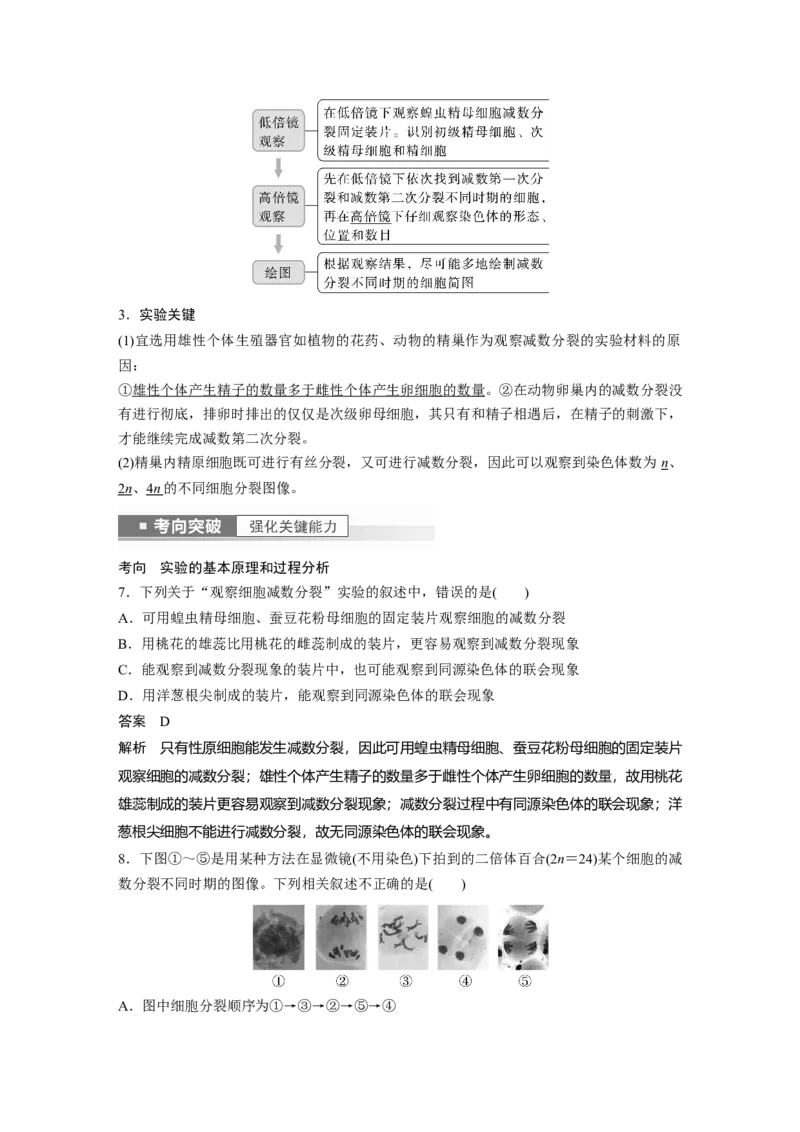 2023年高考生物一轮复习（全国版）第4单元第4课时　减数分裂与有丝分裂的比较及观察蝗虫精母细胞减数分裂装片_通用版（老高考）复习资料_2023年复习资料_一轮复习