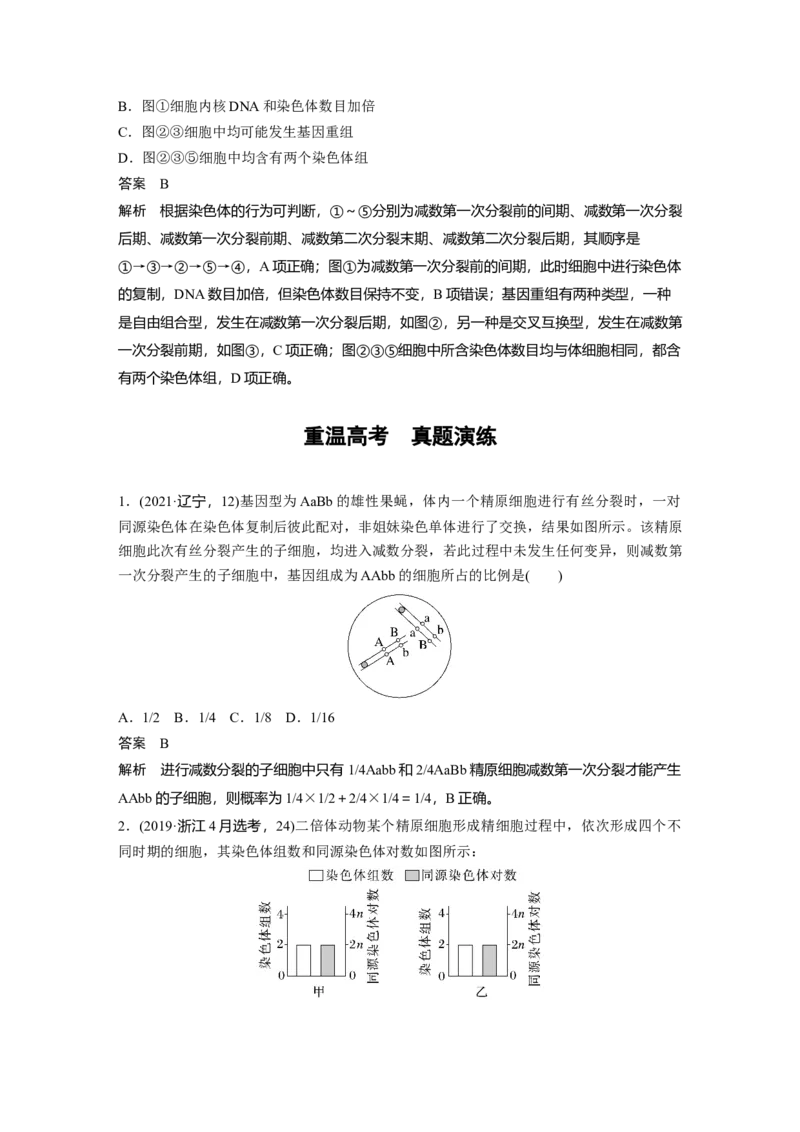 2023年高考生物一轮复习（全国版）第4单元第4课时　减数分裂与有丝分裂的比较及观察蝗虫精母细胞减数分裂装片_通用版（老高考）复习资料_2023年复习资料_一轮复习