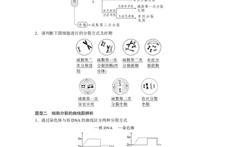 2023年高考生物一轮复习（全国版）第4单元第4课时　减数分裂与有丝分裂的比较及观察蝗虫精母细胞减数分裂装片_通用版（老高考）复习资料_2023年复习资料_一轮复习