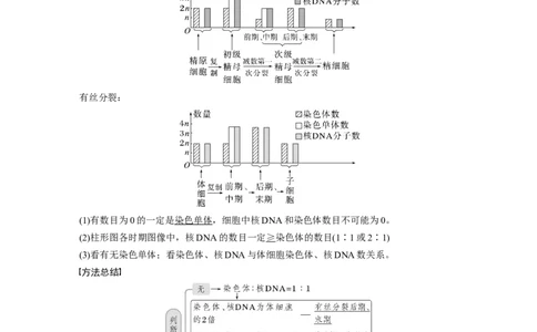 2023年高考生物一轮复习（全国版）第4单元第4课时　减数分裂与有丝分裂的比较及观察蝗虫精母细胞减数分裂装片_通用版（老高考）复习资料_2023年复习资料_一轮复习
