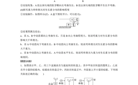 2023年高考生物一轮复习（全国版）第8单元微专题九　植物激素调节的相关实验探究_通用版（老高考）复习资料_2023年复习资料_一轮复习_2023年高考生物一轮复习讲义+课件（全国版）