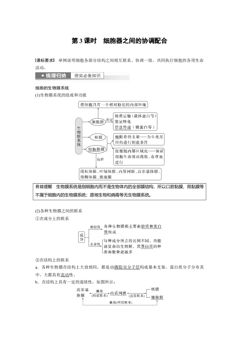 2023年高考生物一轮复习（新人教新高考）第2单元第3课时　细胞器之间的协调配合_新高考复习资料_2023年新高考复习资料_一轮复习_2023年新高考大一轮复习讲义