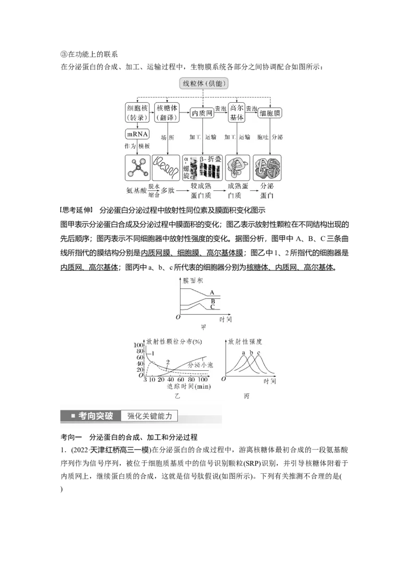 2023年高考生物一轮复习（新人教新高考）第2单元第3课时　细胞器之间的协调配合_新高考复习资料_2023年新高考复习资料_一轮复习_2023年新高考大一轮复习讲义