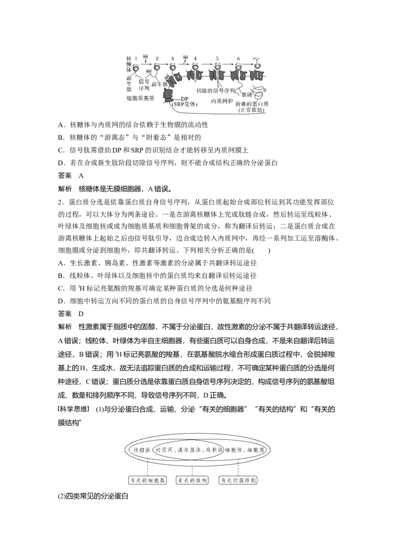 2023年高考生物一轮复习（新人教新高考）第2单元第3课时　细胞器之间的协调配合_新高考复习资料_2023年新高考复习资料_一轮复习_2023年新高考大一轮复习讲义