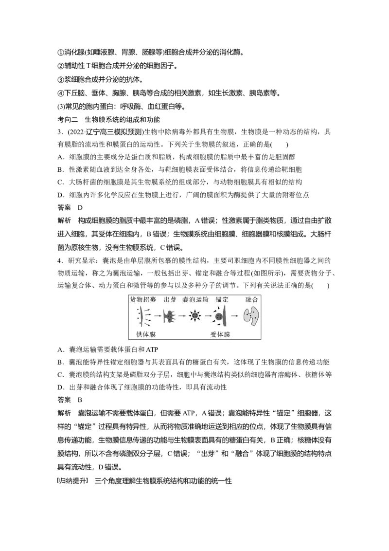 2023年高考生物一轮复习（新人教新高考）第2单元第3课时　细胞器之间的协调配合_新高考复习资料_2023年新高考复习资料_一轮复习_2023年新高考大一轮复习讲义