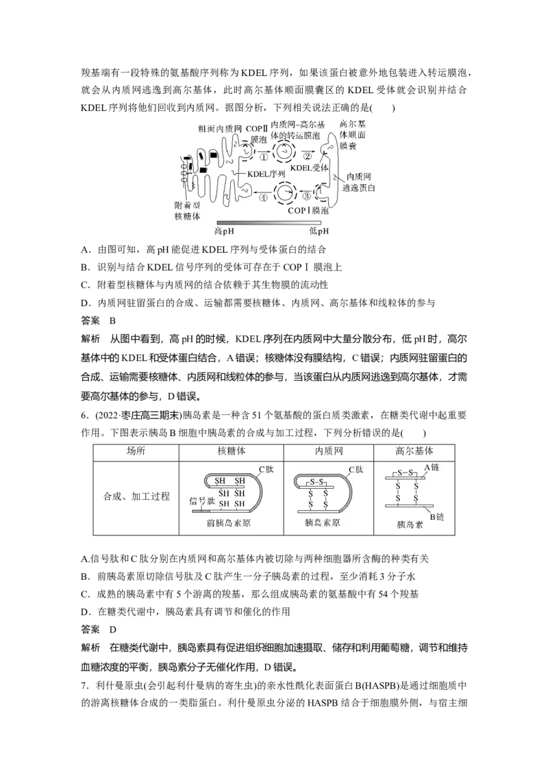 2023年高考生物一轮复习（新人教新高考）第2单元第3课时　细胞器之间的协调配合_新高考复习资料_2023年新高考复习资料_一轮复习_2023年新高考大一轮复习讲义