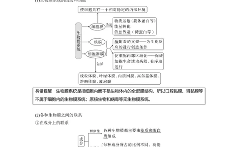 2023年高考生物一轮复习（新人教新高考）第2单元第3课时　细胞器之间的协调配合_新高考复习资料_2023年新高考复习资料_一轮复习_2023年新高考大一轮复习讲义