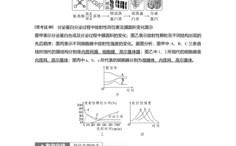 2023年高考生物一轮复习（新人教新高考）第2单元第3课时　细胞器之间的协调配合_新高考复习资料_2023年新高考复习资料_一轮复习_2023年新高考大一轮复习讲义