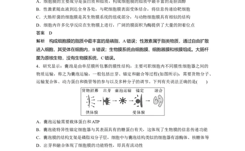 2023年高考生物一轮复习（新人教新高考）第2单元第3课时　细胞器之间的协调配合_新高考复习资料_2023年新高考复习资料_一轮复习_2023年新高考大一轮复习讲义
