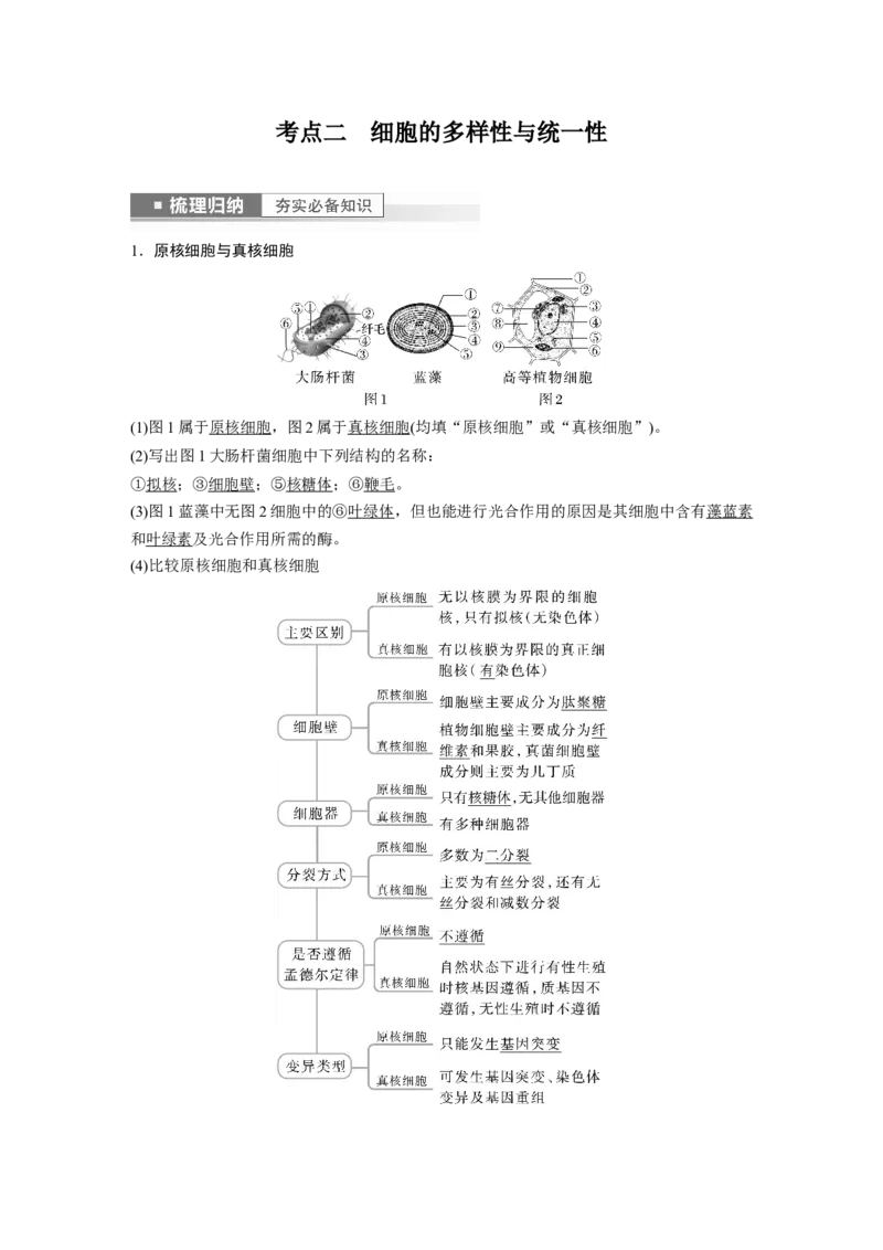 2023年高考生物一轮复习（全国版）第1单元第1课时　走近细胞_通用版（老高考）复习资料_2023年复习资料_一轮复习_2023年高考生物一轮复习讲义+课件（全国版）