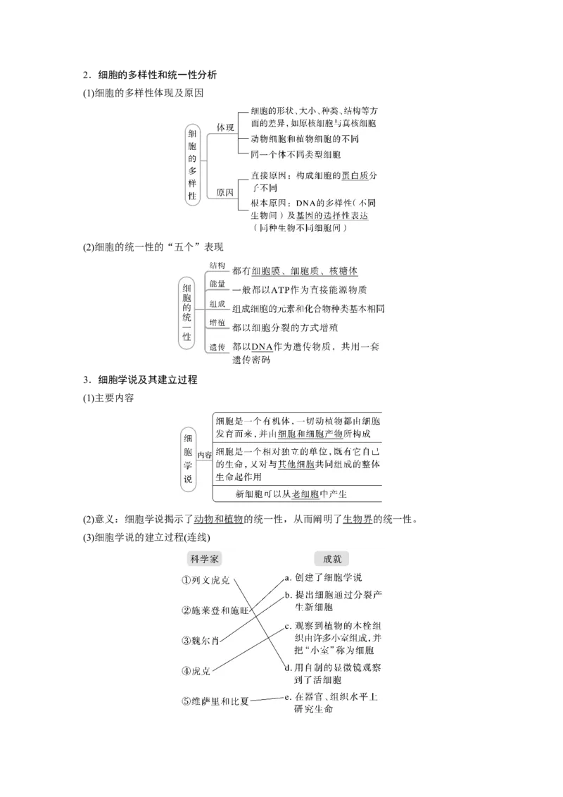 2023年高考生物一轮复习（全国版）第1单元第1课时　走近细胞_通用版（老高考）复习资料_2023年复习资料_一轮复习_2023年高考生物一轮复习讲义+课件（全国版）