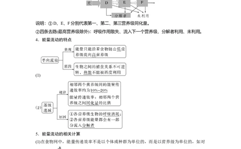 2023年高考生物一轮复习（全国版）第9单元第6课时　生态系统的能量流动_通用版（老高考）复习资料_2023年复习资料_一轮复习_2023年高考生物一轮复习讲义+课件（全国版）