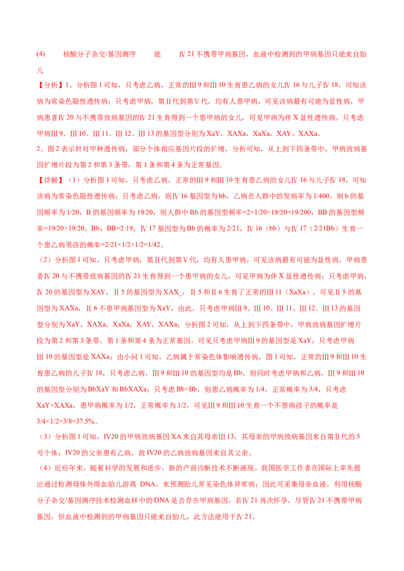 第08讲伴性遗传和人类遗传病（练习）（解析版）_2024年新高考资料_2.2024二轮复习_2024年高考生物二轮复习讲练测（新教材新高考）