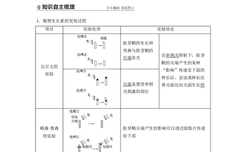 2022年高考生物一轮复习第8单元第27讲　植物的激素调节_新高考复习资料_2022年新高考复习资料_2022年一轮复习最新版_1.2022年高考生物一轮复习全国通用版
