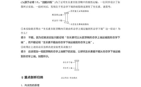 2022年高考生物一轮复习第8单元第27讲　植物的激素调节_新高考复习资料_2022年新高考复习资料_2022年一轮复习最新版_1.2022年高考生物一轮复习全国通用版