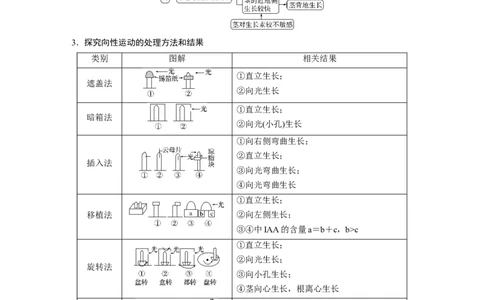 2022年高考生物一轮复习第8单元第27讲　植物的激素调节_新高考复习资料_2022年新高考复习资料_2022年一轮复习最新版_1.2022年高考生物一轮复习全国通用版