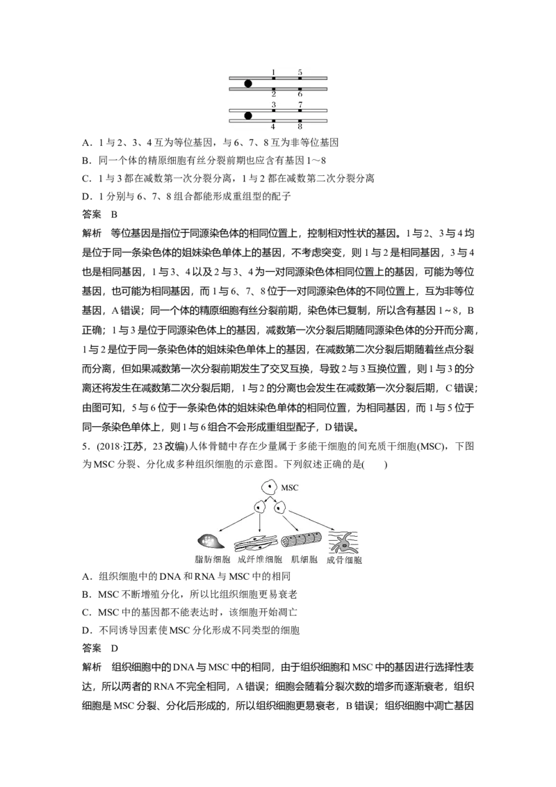 2023年高考生物二轮复习（全国版）第1篇专题突破专题3专题强化练_通用版（老高考）复习资料_2023年复习资料_二轮复习_2023年高考生物二轮复习讲义+课件（全国版）