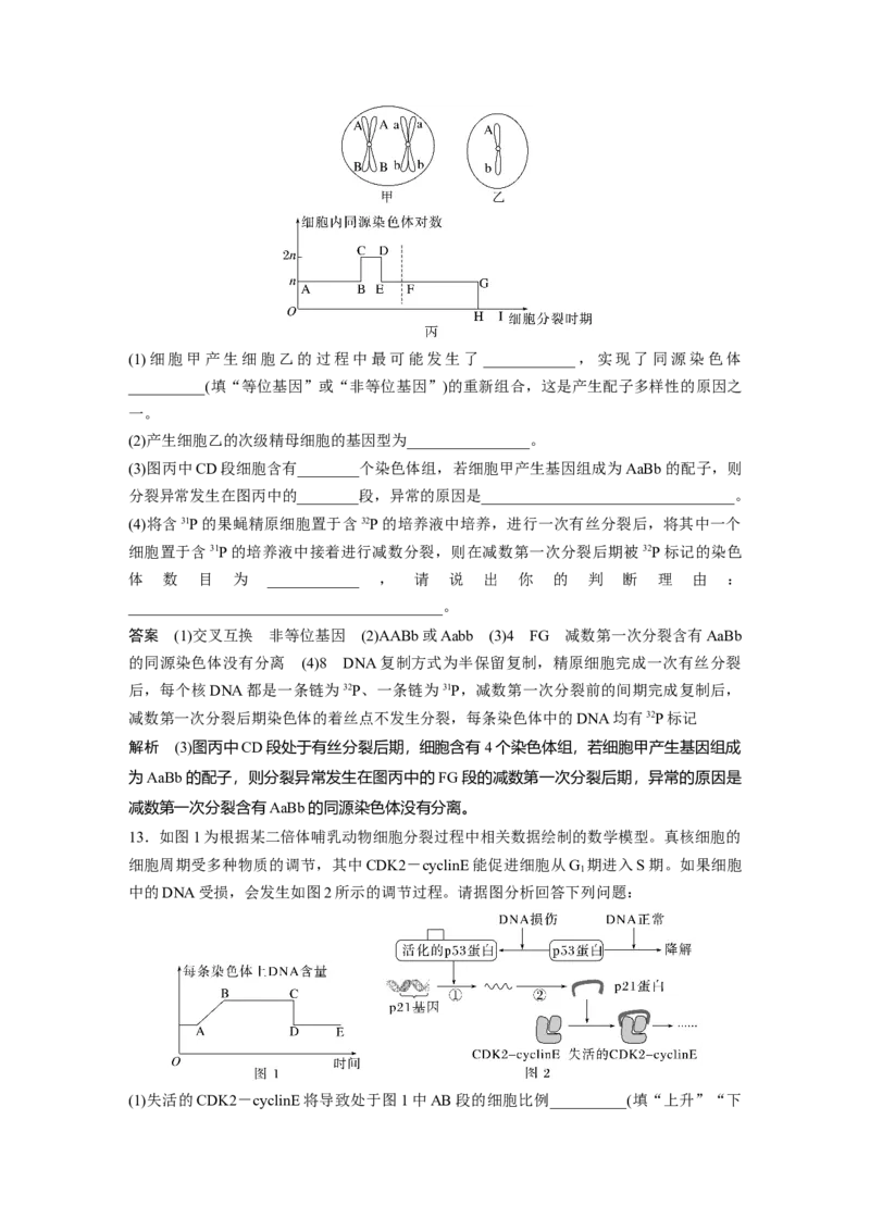 2023年高考生物二轮复习（全国版）第1篇专题突破专题3专题强化练_通用版（老高考）复习资料_2023年复习资料_二轮复习_2023年高考生物二轮复习讲义+课件（全国版）