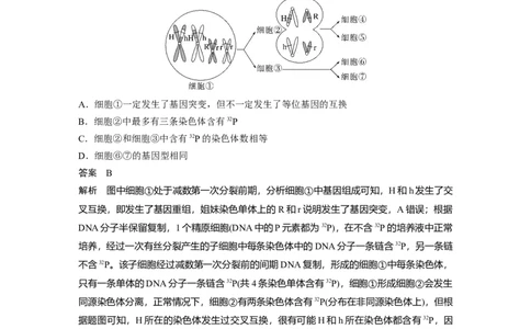 2023年高考生物二轮复习（全国版）第1篇专题突破专题3专题强化练_通用版（老高考）复习资料_2023年复习资料_二轮复习_2023年高考生物二轮复习讲义+课件（全国版）
