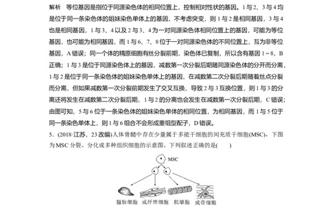 2023年高考生物二轮复习（全国版）第1篇专题突破专题3专题强化练_通用版（老高考）复习资料_2023年复习资料_二轮复习_2023年高考生物二轮复习讲义+课件（全国版）