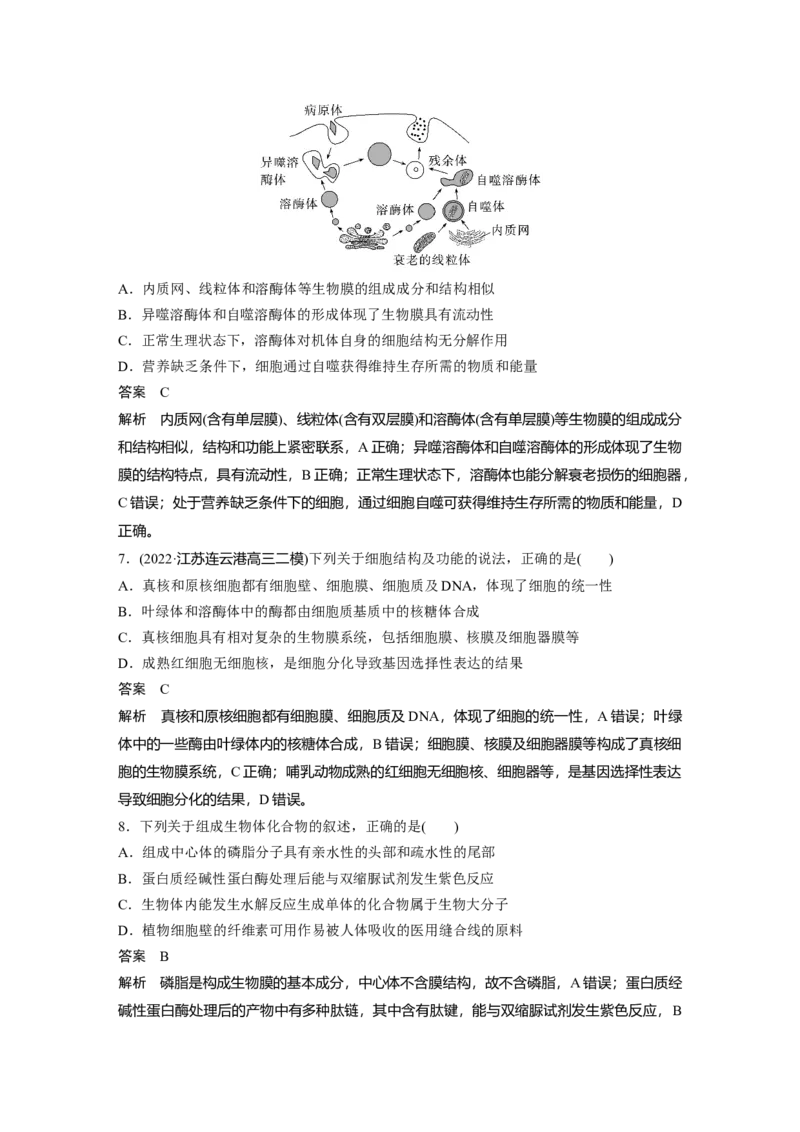 2023年高考生物二轮复习（全国版）第3篇考前特训专项二(一)细胞的分子组成与基本结构_通用版（老高考）复习资料_2023年复习资料_二轮复习_2023年高考生物二轮复习讲义+课件（全国版）