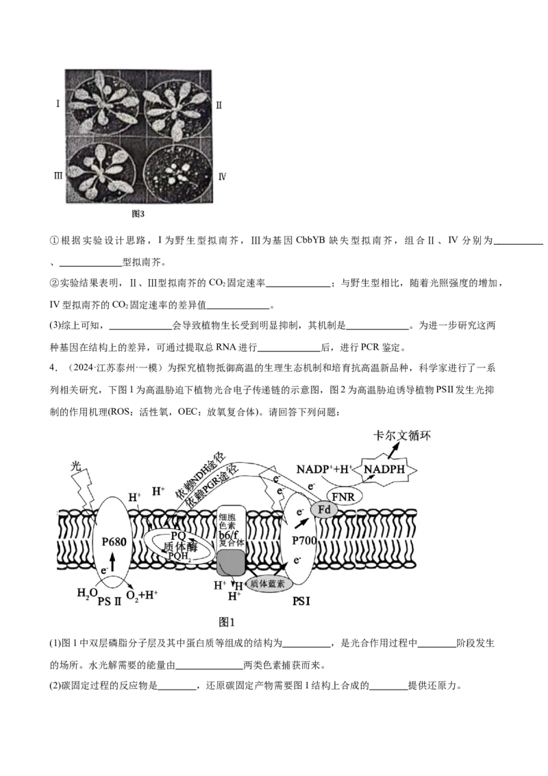 押江苏卷第19题细胞代谢（原卷版）_2024年新高考资料_5.2024三轮冲刺_备战2024年高考生物临考题号押题（江苏专用）322855714