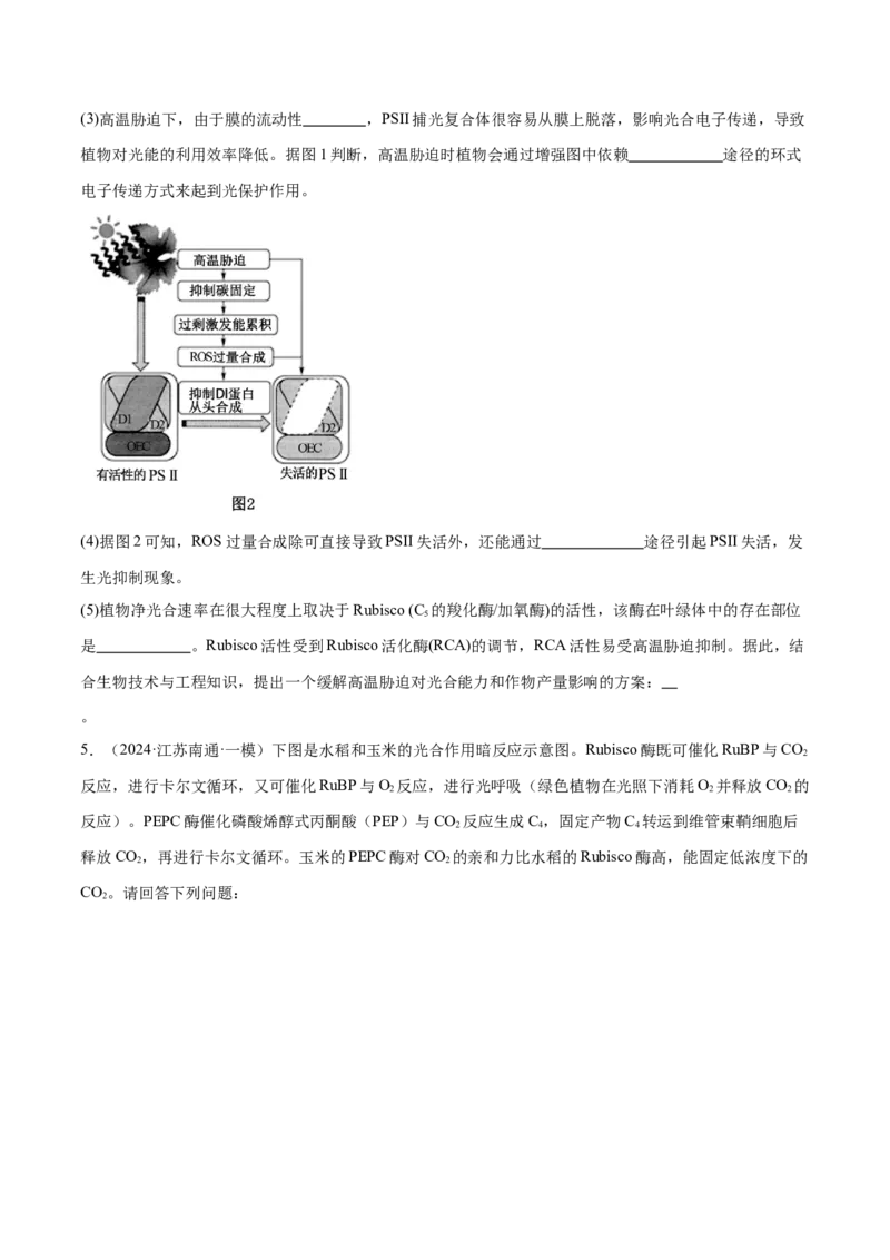 押江苏卷第19题细胞代谢（原卷版）_2024年新高考资料_5.2024三轮冲刺_备战2024年高考生物临考题号押题（江苏专用）322855714