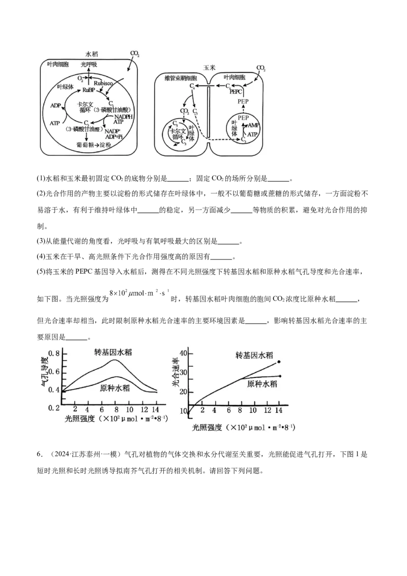 押江苏卷第19题细胞代谢（原卷版）_2024年新高考资料_5.2024三轮冲刺_备战2024年高考生物临考题号押题（江苏专用）322855714