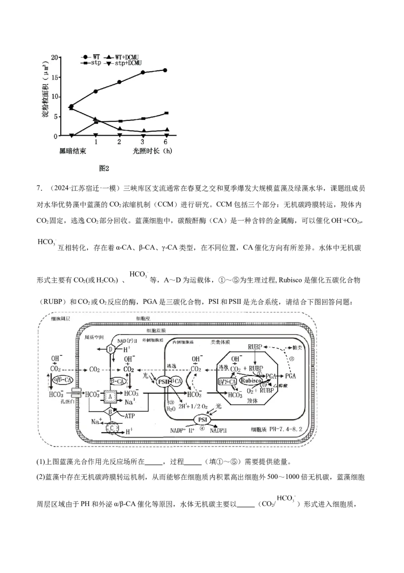押江苏卷第19题细胞代谢（原卷版）_2024年新高考资料_5.2024三轮冲刺_备战2024年高考生物临考题号押题（江苏专用）322855714