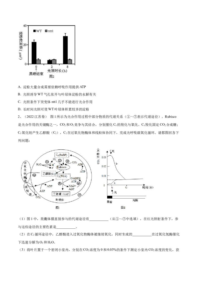 押江苏卷第19题细胞代谢（原卷版）_2024年新高考资料_5.2024三轮冲刺_备战2024年高考生物临考题号押题（江苏专用）322855714