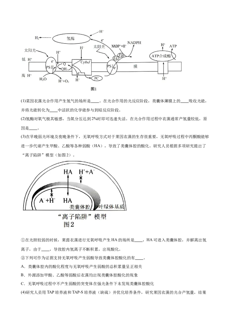 押江苏卷第19题细胞代谢（原卷版）_2024年新高考资料_5.2024三轮冲刺_备战2024年高考生物临考题号押题（江苏专用）322855714