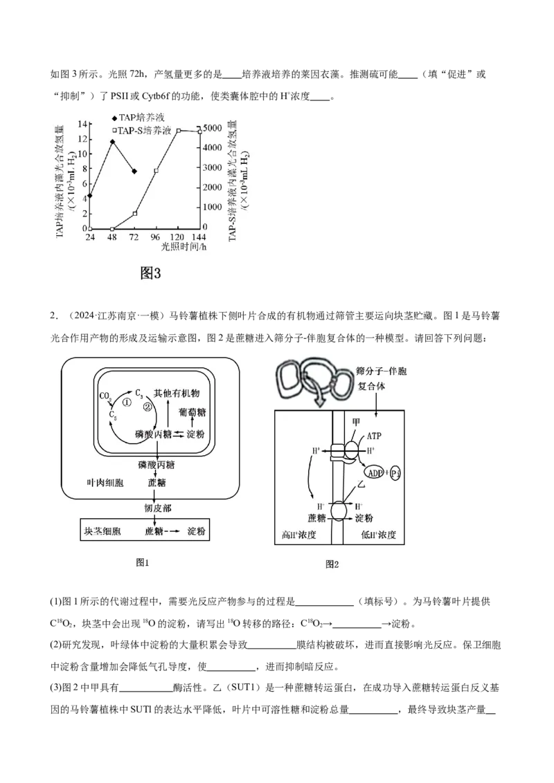 押江苏卷第19题细胞代谢（原卷版）_2024年新高考资料_5.2024三轮冲刺_备战2024年高考生物临考题号押题（江苏专用）322855714