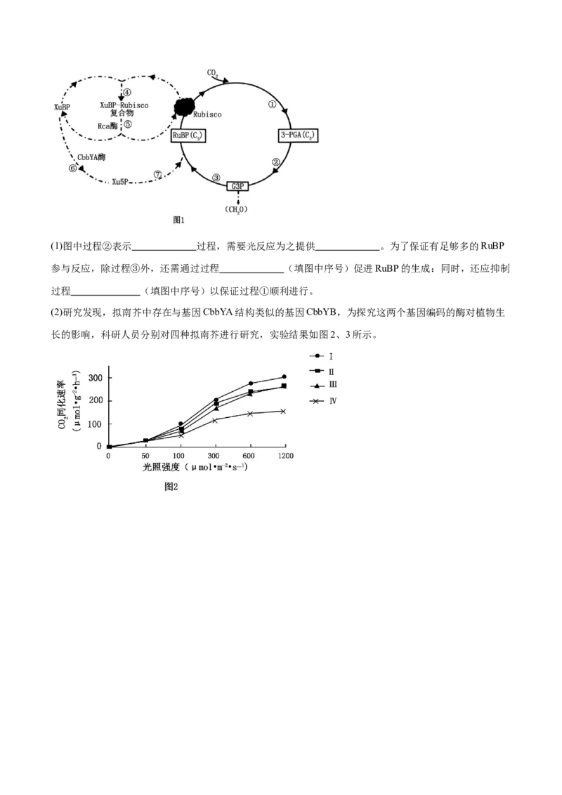 押江苏卷第19题细胞代谢（原卷版）_2024年新高考资料_5.2024三轮冲刺_备战2024年高考生物临考题号押题（江苏专用）322855714