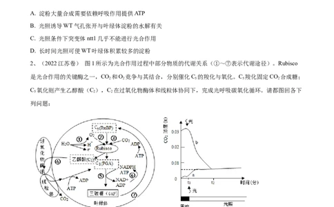押江苏卷第19题细胞代谢（原卷版）_2024年新高考资料_5.2024三轮冲刺_备战2024年高考生物临考题号押题（江苏专用）322855714