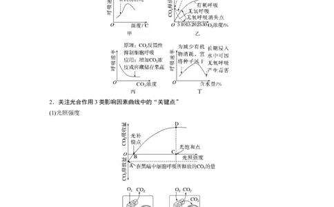 2023年高考生物二轮复习（全国版）第1篇专题突破专题2考点四　光合作用和细胞呼吸的影响因素及相关计算_通用版（老高考）复习资料_2023年复习资料_二轮复习