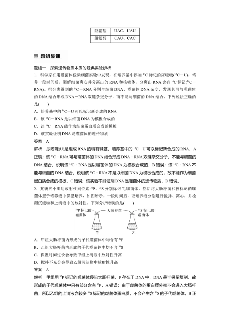 2023年高考生物二轮复习（全国版）第1篇专题突破专题5考点1　基因的本质和表达_通用版（老高考）复习资料_2023年复习资料_二轮复习_2023年高考生物二轮复习讲义+课件（全国版）