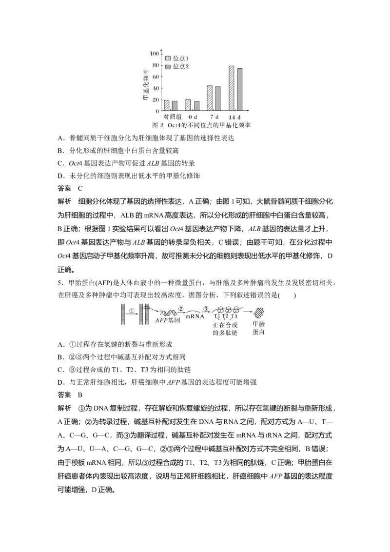 2023年高考生物二轮复习（全国版）第1篇专题突破专题5考点1　基因的本质和表达_通用版（老高考）复习资料_2023年复习资料_二轮复习_2023年高考生物二轮复习讲义+课件（全国版）