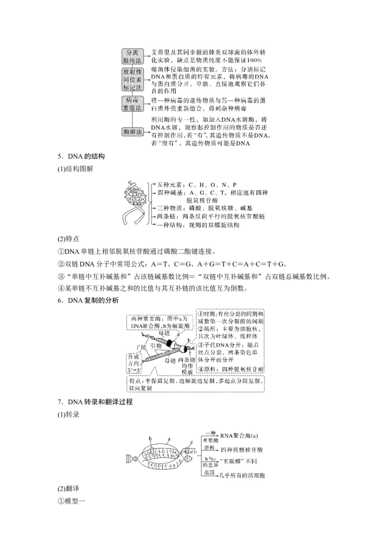 2023年高考生物二轮复习（全国版）第1篇专题突破专题5考点1　基因的本质和表达_通用版（老高考）复习资料_2023年复习资料_二轮复习_2023年高考生物二轮复习讲义+课件（全国版）