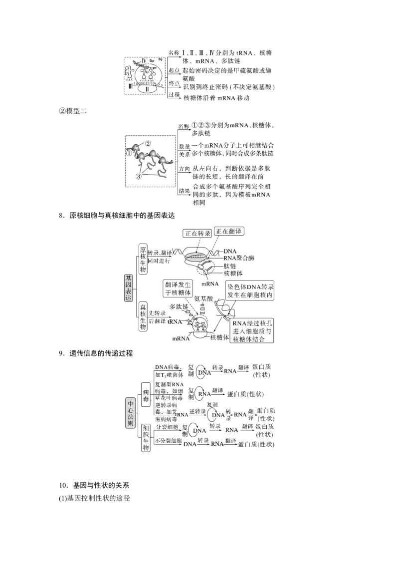 2023年高考生物二轮复习（全国版）第1篇专题突破专题5考点1　基因的本质和表达_通用版（老高考）复习资料_2023年复习资料_二轮复习_2023年高考生物二轮复习讲义+课件（全国版）