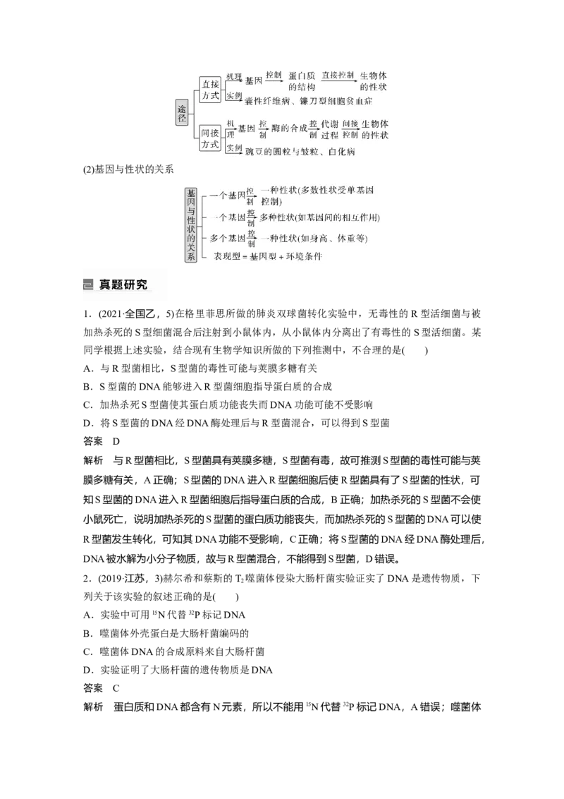 2023年高考生物二轮复习（全国版）第1篇专题突破专题5考点1　基因的本质和表达_通用版（老高考）复习资料_2023年复习资料_二轮复习_2023年高考生物二轮复习讲义+课件（全国版）
