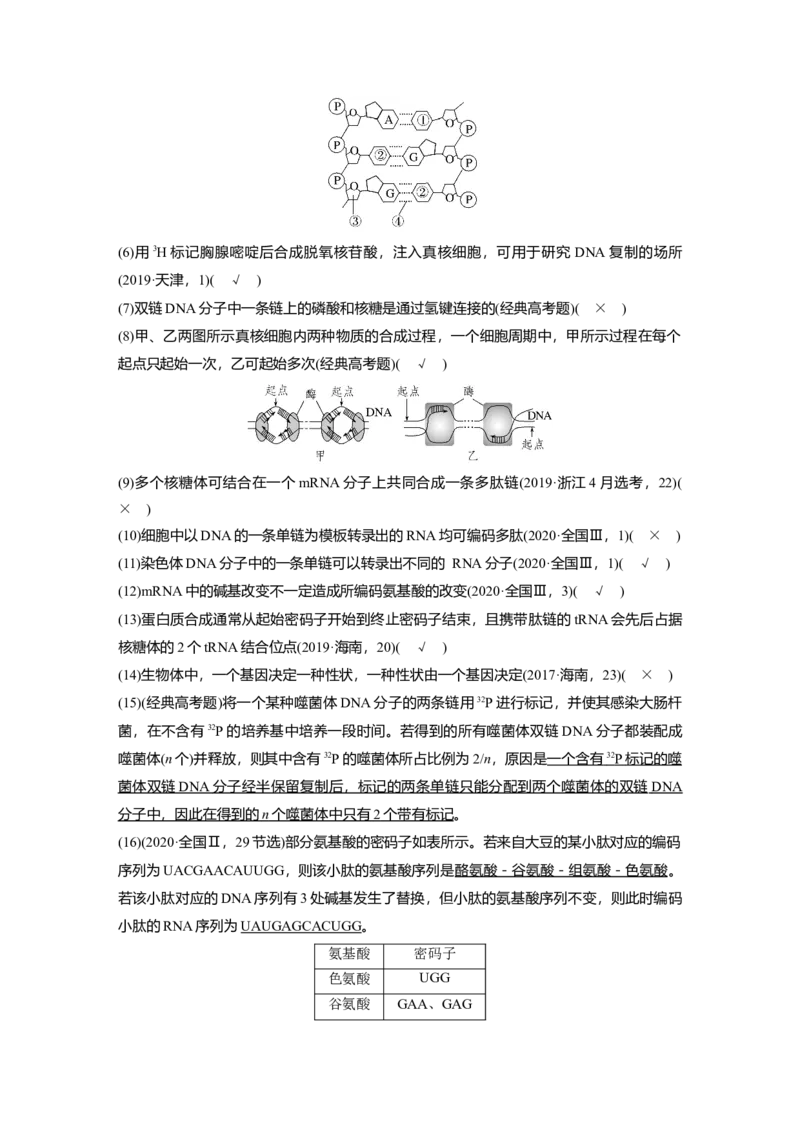 2023年高考生物二轮复习（全国版）第1篇专题突破专题5考点1　基因的本质和表达_通用版（老高考）复习资料_2023年复习资料_二轮复习_2023年高考生物二轮复习讲义+课件（全国版）