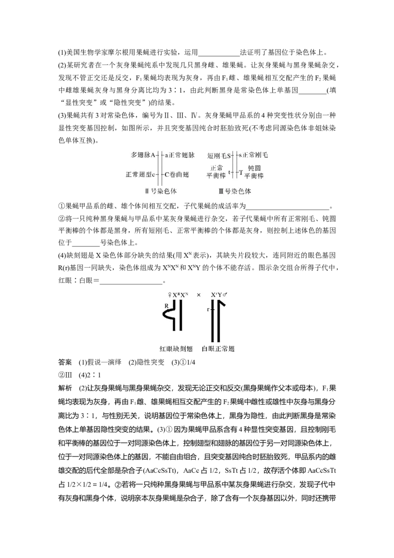 2023年高考生物一轮复习（新人教新高考）第5单元第5课时　基因在染色体上的假说与证据_新高考复习资料_2023年新高考复习资料_一轮复习_2023年新高考大一轮复习讲义