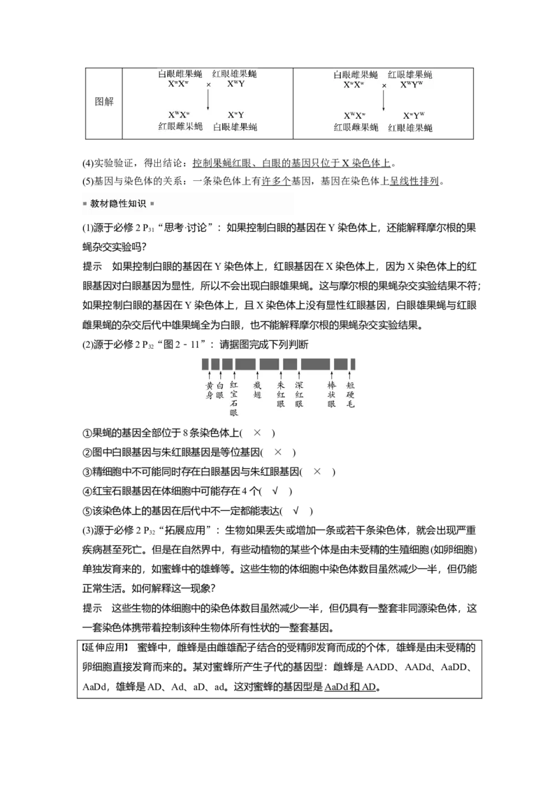 2023年高考生物一轮复习（新人教新高考）第5单元第5课时　基因在染色体上的假说与证据_新高考复习资料_2023年新高考复习资料_一轮复习_2023年新高考大一轮复习讲义